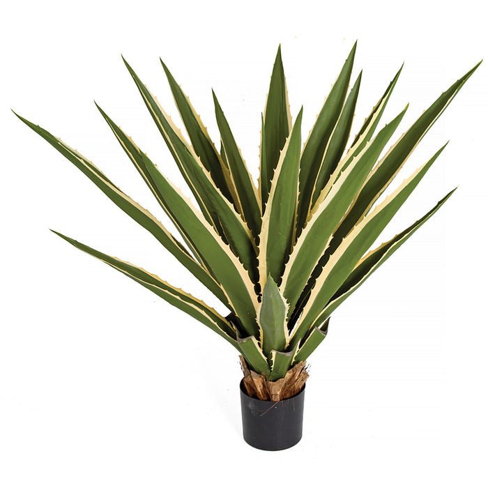 3' Outdoor UV-Resistant Artificial Agave Plant w/Pot -Green/Cream - AUV181160