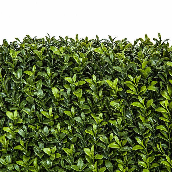 65"Hx48"Wx8"D Outdoor UV-Resistant Artificial Boxwood Topiary Hedge -2 Tone Green - AUV181190