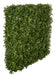 72"Hx48"Wx10"D Outdoor UV-Resistant Artificial Schefflera Leaf Topiary Hedge -2 Tone Green - AUV-185755