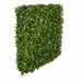72"Hx48"Wx10"D Outdoor UV-Resistant Artificial Schefflera Leaf Topiary Hedge -2 Tone Green - AUV-185755