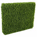 48"Hx48"Wx10"D Outdoor UV-Resistant Artificial Taxus Baccata Topiary Hedge -Green - AUV-185760
