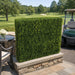 48"Hx48"Wx10"D Outdoor UV-Resistant Artificial Taxus Baccata Topiary Hedge -Green - AUV-185760