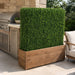 48"Hx48"Wx10"D Outdoor UV-Resistant Artificial Taxus Baccata Topiary Hedge -Green - AUV-185760
