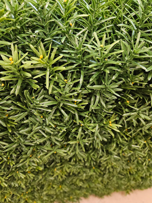 72"Hx48"Wx10"D Outdoor UV-Resistant Artificial Taxus Baccata Topiary Hedge -Green - AUV185770