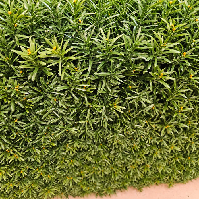 72"Hx48"Wx10"D Outdoor UV-Resistant Artificial Taxus Baccata Topiary Hedge -Green - AUV185770