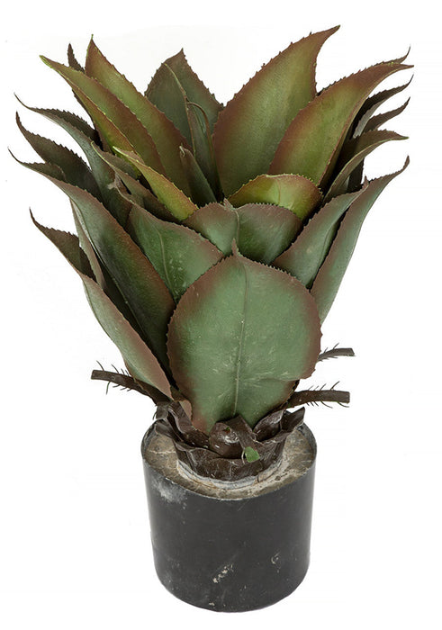 22" Outdoor UV-Resistant Artificial Agave Plant w/Pot -Green/Burgundy (Pack of 2) - AUV-190870