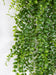 32" Outdoor UV-Resistant Artificial Hanging Button Fern Plant -Green (Pack of 6) - AUV-195180
