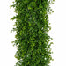 6'6" Outdoor UV-Resistant Artificial Mini Leaf Boxwood Garland -2 Tone Green (Pack of 2) - AUV195760