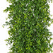 6'6" Outdoor UV-Resistant Artificial Mini Leaf Boxwood Garland -2 Tone Green (Pack of 2) - AUV195760