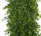 6'6" UV-Resistant Outdoor Artificial Mini Leaf Boxwood Garland -2 Tone Green (pack of 2) - AUV195760