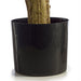3' Outdoor UV-Resistant Artificial Cedar Cone-Shaped Topiary Tree w/Pot -Green (Pack of 2) - AUV1955
