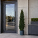 5' Outdoor UV-Resistant Artificial Cedar Cone-Shaped Topiary Tree w/Pot -Green - AUV1965