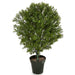 3' UV-Resistant Outdoor Artificial Podocarpus Ball-Shaped Topiary w/Pot -Green - AUV197090