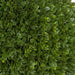 24"Hx19"W Outdoor UV-Resistant Artificial Japanese Boxwood Ball-Shaped Topiary w/Pot -Green - AUV197120