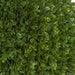 26" UV-Resistant Outdoor Artificial Japanese Boxwood Ball-Shaped Topiary w/Pot -Green - AUV197130