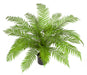 30"Hx48"W Outdoor UV-Resistant Artificial Alsophila Fern Leaf Plant w/Pot -Green - AUV-197350