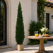 7' Outdoor UV-Resistant Artificial Cedar Cone-Shaped Topiary Tree w/Pot -Green - AUV1975