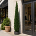 7' Outdoor UV-Resistant Artificial Cedar Cone-Shaped Topiary Tree w/Pot -Green - AUV1975