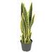 26" UV-Resistant Outdoor Artificial Sansevieria Snake Plant w/Pot -Green/Yellow (pack of 2) - AUV200100