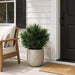 24" Outdoor UV-Resistant Artificial Cedar Plant w/Pot -Green (Pack of 2) - AUV-250240