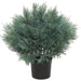17" Outdoor UV-Resistant Artificial Cedar Plant w/Pot -Gray/Green (Pack of 2) - AUV-250245