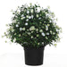 21" Outdoor UV-Resistant Artificial Baby's Breath Flower Plant w/Pot -White/Cream (Pack of 2) - AUV-250275