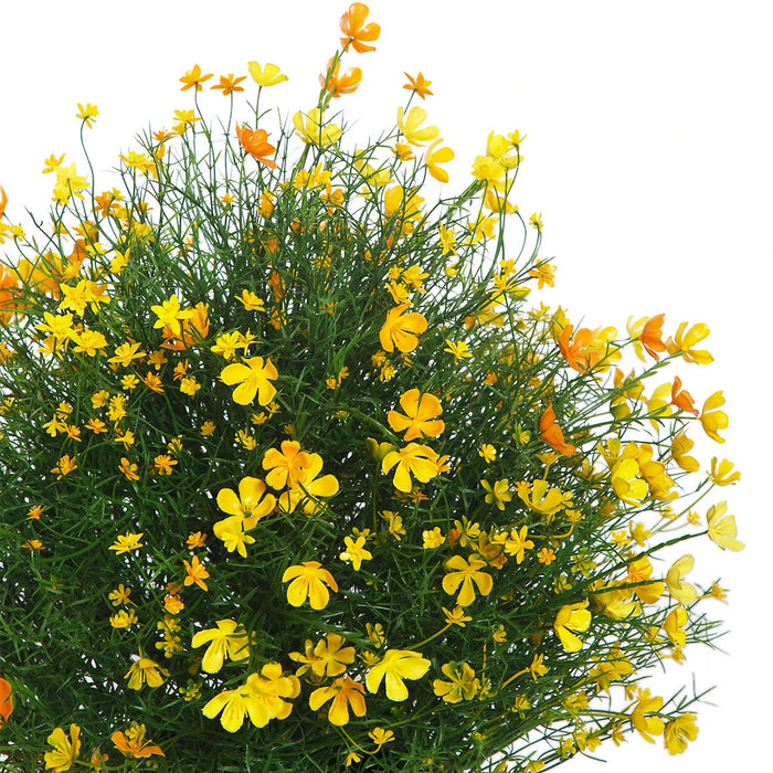 21" Outdoor UV-Resistant Artificial Baby's Breath Flower Plant w/Pot -Yellow/Orange (Pack of 2) - AUV-250295