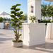 5'6"Hx24"W Outdoor UV-Resistant Artificial Cypress Bonsai Tree w/Planter -Green - AUV-251000