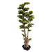 5'6"Hx24"W Outdoor UV-Resistant Artificial Cypress Bonsai Tree w/Planter -Green - AUV-251000