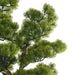 3'5"Hx23"W Outdoor UV-Resistant Artificial Cypress Bonsai Tree w/Pot -Green - AUV-251010