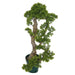 3'5"Hx23"W Outdoor UV-Resistant Artificial Cypress Bonsai Tree w/Pot -Green - AUV-251010
