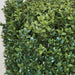 12"Hx48"Wx12"D Outdoor UV-Resistant Artificial Boxwood Topiary Hedge -2 Tone Green (Open Box) - SAFR-AUV123200