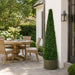 6' Outdoor UV-Resistant Artificial Dwarf Boxwood Cone-Shaped Topiary Tree -Green - AUV181590
