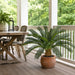 36" Outdoor UV-Resistant Artificial Sago Cycas Palm Tree w/Pot -Green - AUV195900