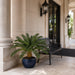 36" Outdoor UV-Resistant Artificial Sago Cycas Palm Tree w/Pot -Green - AUV195900