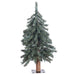 2'Hx16"W Natural Trunk With Bark Alpine Artificial Christmas Tree, Unlit -Green - B907320