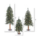 4'Hx25"W Set Of Natural Trunk With Bark Alpine Artificial Christmas Trees, LED Pre-Lit -Green - B907381LED