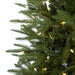 7'6"Hx30"W PE Nordmann Fir LED-Lighted Artificial Christmas Tree w/Stand -Green - C160174