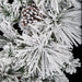 9'Lx14"W Flocked Bavarian Pine Artificial Garland -White (Pack of 2) - C180370