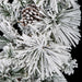 9'Lx14"W Flocked Bavarian Pine Artificial Garland, Micro LED Pre-Lit -White (Pack of 2) - C180374