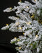 9'Hx72"W Medium Flocked Lockhart Fir LED-Lighted Artificial Christmas Tree w/Stand -White/Green - C190214