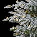 9'Hx72"W Medium Flocked Lockhart Fir Artificial Christmas Tree, LED Pre-Lit -White/Green - C190214