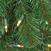 9'Lx12"W Virginia Pine Artificial Garland, LED Pre-Lit -Green (Pack of 2) - C190344