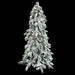 4'Hx25"W Flocked Natural Trunk Carolina Pine Artificial Christmas Tree, LED Pre-Lit -Green/White - C1904