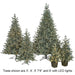 4'Hx33"W PE Appalachian Fir Artificial Christmas Tree w/Planter, Micro LED Pre-Lit (Twinkle) -Green/Blue - C-195054