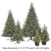 9'Hx73"W PE Appalachian Fir LED-Lighted Artificial Christmas Tree w/Stand -Green/White - C195024