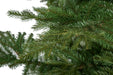 9'Hx81"W PE Arkansas Spruce LED-Lighted Artificial Christmas Tree w/Stand -Green - C195214