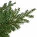 7'6"Hx67"W PE Arkansas Spruce Artificial Christmas Tree, Unlit -Green - C195200