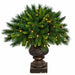 19"Hx24"W PE Frosted Brighton Urn Filler Artificial Topiary, Battery Micro LED Pre-Lit -Green/White - C-195548B