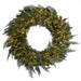 36" Frosted Artificial Brighton Pine LED-Lighted Hanging Wreath -Green/White - C200904